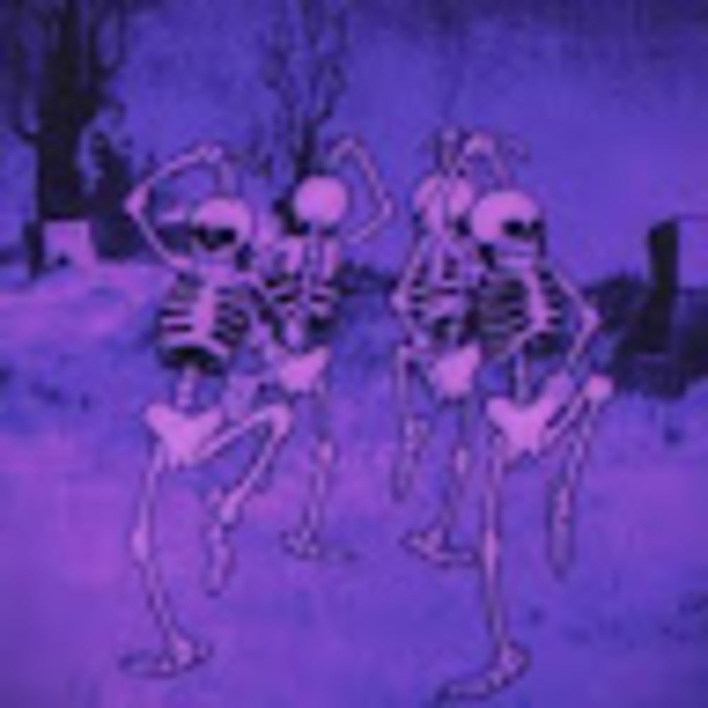 Meet your Posher, Harmony